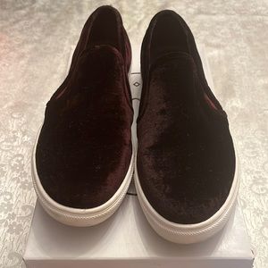 Steve Madden Ecentrec Burgundy slip on sneaker